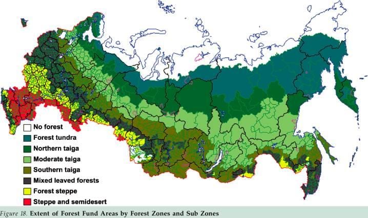 Bosque ruso mapa